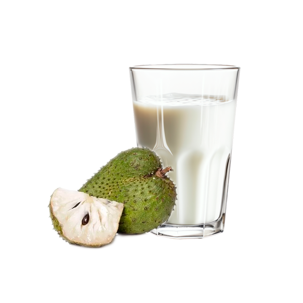 [P0014] JUGO DE GUANABANA 300ML